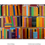 « La barricade des livres et du savoir » La culture et la mémoire, meilleurs remparts contre les dictatures…